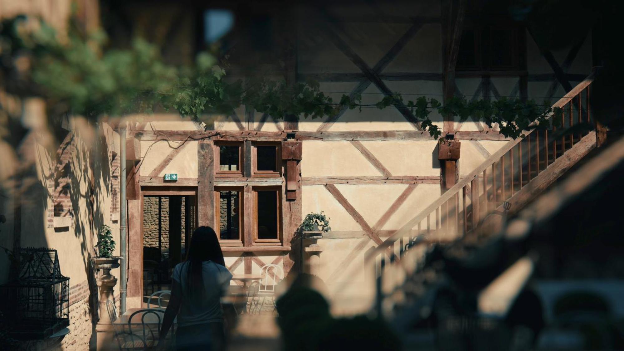 Le Champ Des Oiseaux Hotel & Spa Труа Экстерьер фото